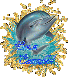 Спа дельфин