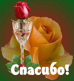 images_12094