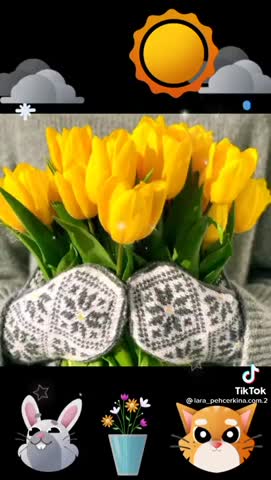 VID_20210224_WA0002-_im