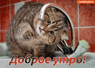 a518794bbd3e9119149fedd065ec186c