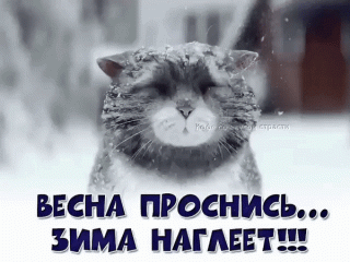 vesna-prosnis-zima-nagleet