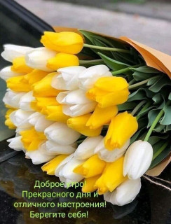 IMG-b543b451a5bef077459dbdd1d0b4f846-V