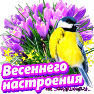 Весеннего настроения
