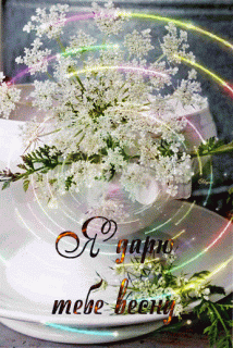 ace06cc4bf80517ad8f4c610762cb29c