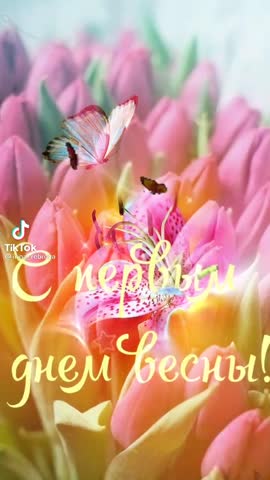 video-71a21cb8566088ed42dbb5536218b43e-V