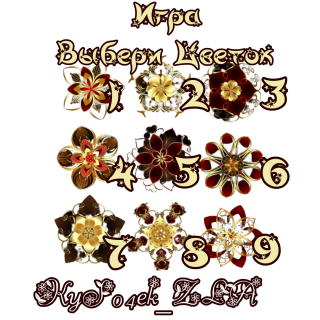 главная