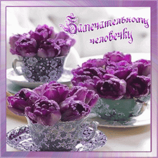 zamechatelnomu-cheloveku