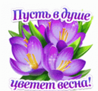 GIF-af0141808bb153157480c98f96a44cad