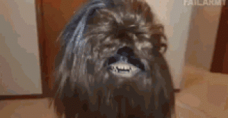 kid-chewbacca_1