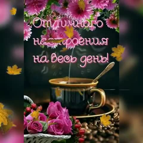 видеооткрытка_с_добрым_утром_друзья