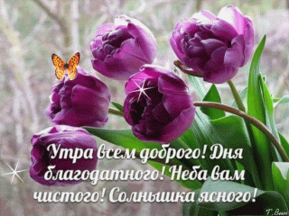 анимированная_открытка_утра_всем_доброго