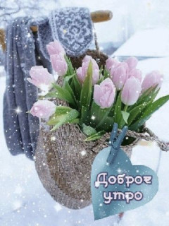 7265b99b47c026024853d5bf8dd9009e