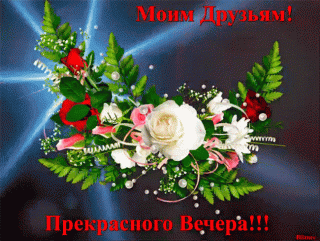 98f244c858590f25a200571b4bfe664d