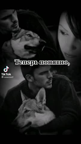 8beacdd64043f2cebb97bfdedd79f4fd