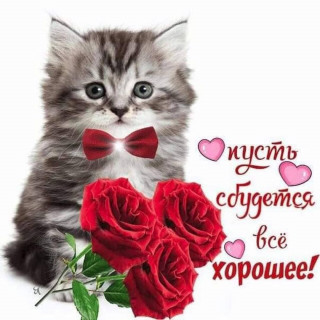 _smile_ua_-___CL4ehlZDSzg___-