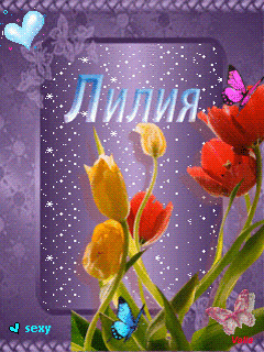 1265447161_1245268388_448010117_923730