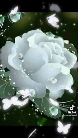 VID-20210303-WA0000-_im