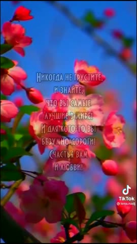 VID-20210307-WA0001