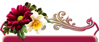 4d3329d950cb2f8bcfcf8c233aace88d