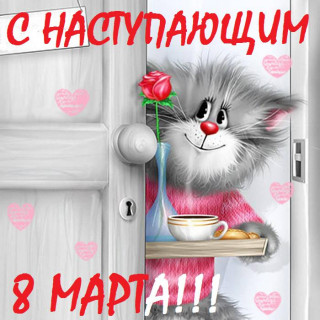QiZm_Lk5-0o