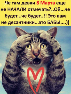 xTdHmMa6Ntw