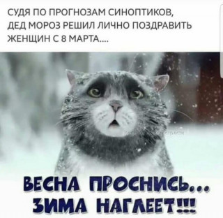 jYbH9IjUEAk