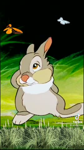 video-19708cf3aca427818f1650a58e760f2c-V