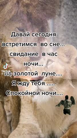 381d83ce53bdab116874ca204bb4bf82