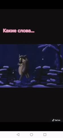 SVID_20210309_180408_1