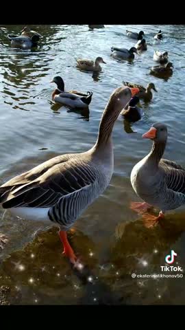 d787d7042f99d6b4590702828676dbf2