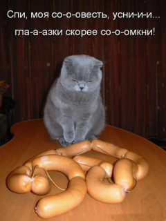 vk_-G5uYE54Y2go
