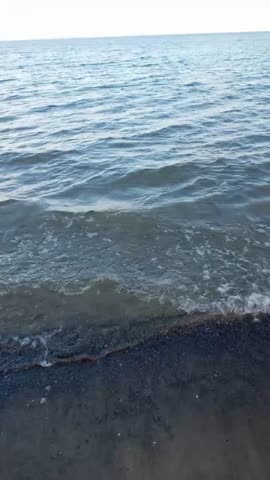 VID-20210303-WA0014