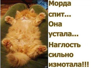 vk_-IlYZ2-KqOyo