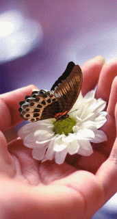 1690b4c8c593e6b3b6a458bdf0921db3