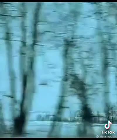 1938f43061c5565040381f60a5a3f00e