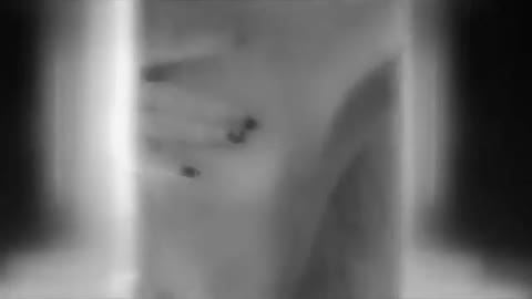 video-4fcaa755856f661-V