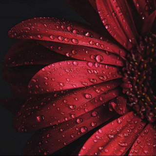 happy_life_captures-___CMSS9iPMwuV___-