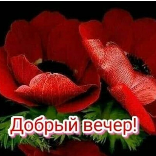 vasilijkravcenko45-___CMXUwJXF8Xq___-