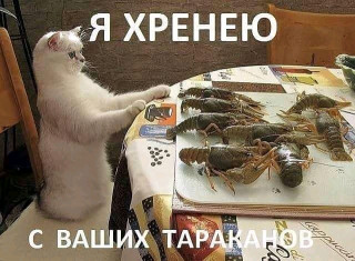 FB_IMG_16157198507678299