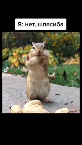 8e37d1f4645161f657b0d65f1b3a19ac