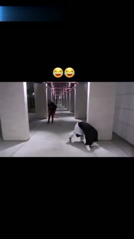 Когда_очень_страшно