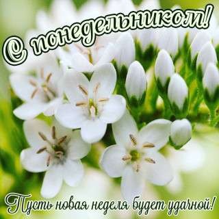 ianygi-___CMbqBaJl2C8___-