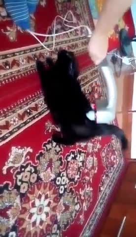 Foiz__video-0-02-05-a10314a974e906e95dde88df2348ab9577268823b41df13a13d419e157c0c2f0-V