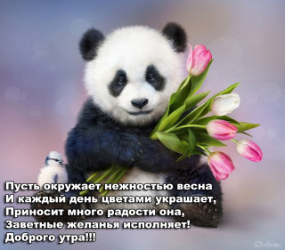 YW_KP7m172c