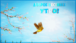 dobroe-vesennee-utro