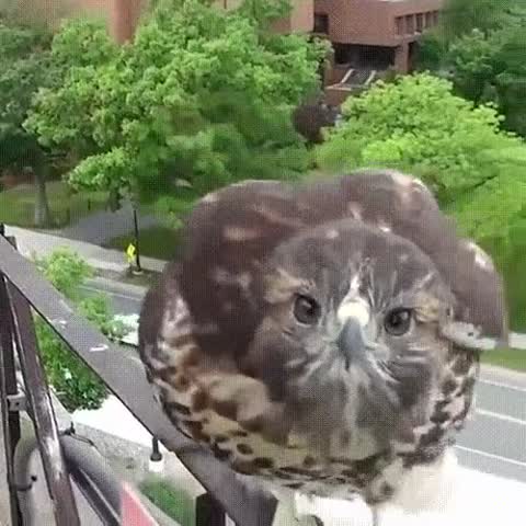 6354