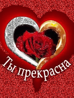 c9ef2c84e423f0ed87f1b5761f56985f