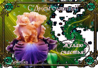 s-dn-m-schastya-iris