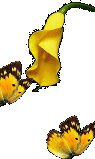 0d194fafed576a240e670752d8ca3816