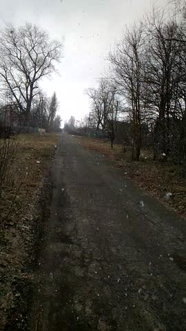 VID_20210320_133932